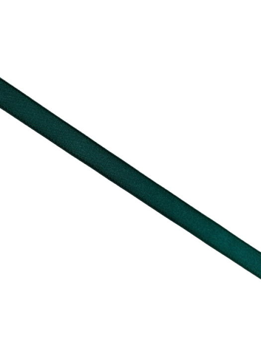 0102ASP Бельевая резинка 11мм цв.зелёный(в рул.100м)