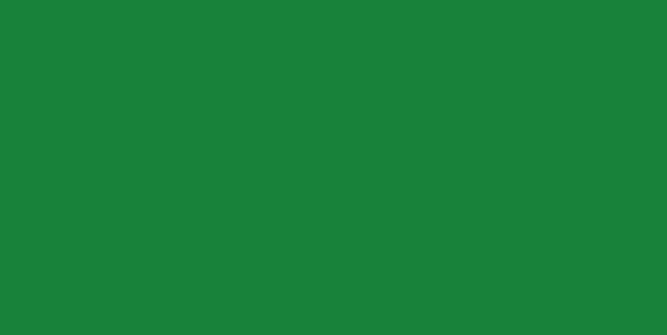 Молния трактор Т5 75см цв.№258 ярко-зеленый(в упак.50шт)
