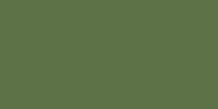 265 Молния потайная Т3 18см цв.т.зеленый(в упак.100шт)