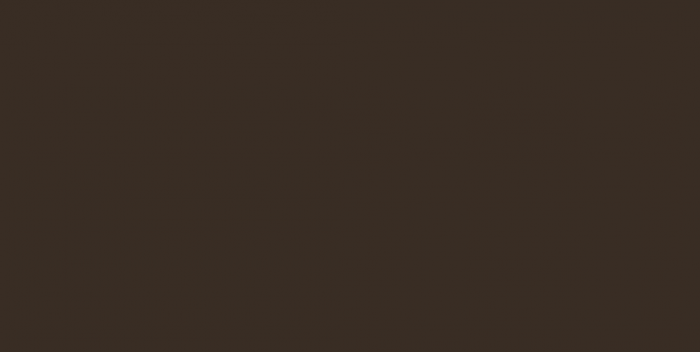 305 Молния потайная Т3 18см цв.т.коричневый(в упак.100шт)