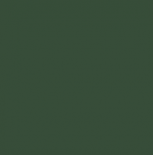 1232 Ткань подкладочная 190Т 100%ПЭ цв.зеленый(в рул.100м)